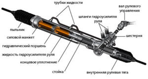 rulevaya-reika