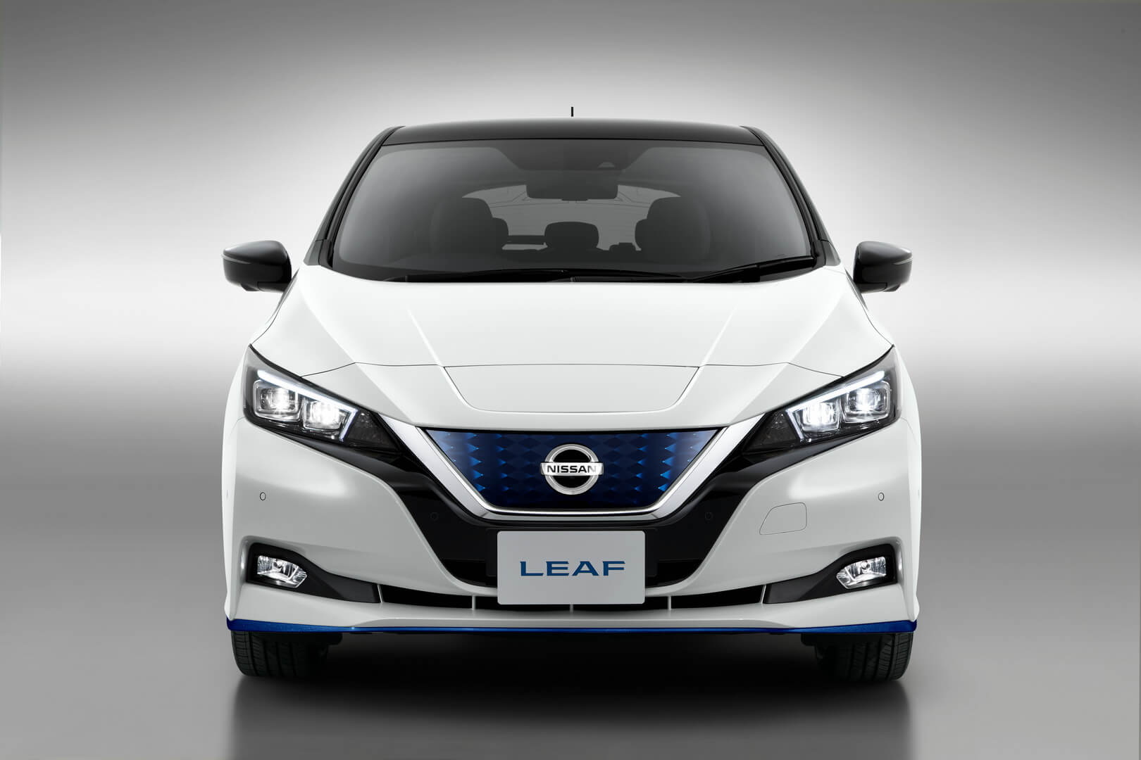 Nissan Leaf e+ 2019 - вид спереди