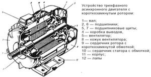 Строение ротора асинхронного двигателя