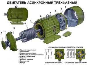 Строение ротора асинхронного двигателя