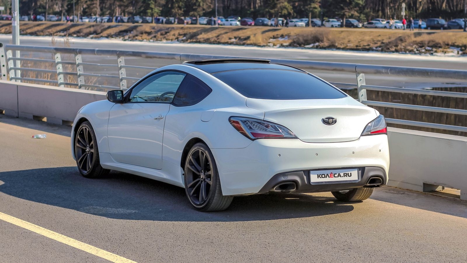 Hyundai Genesis Coupe белый вид сзади